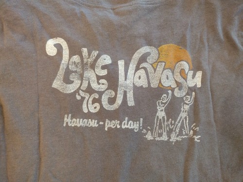 T-shirt HOLLISTER vintage Y2K slim marron Let's Get Shipwrecked Bettys neuf avec étiquette - M - Photo 6/13