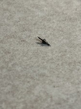 Waltham 16s Watch Balance Staff 2844 PIV 12