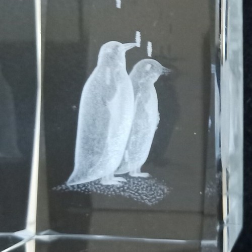 3d Laser Etched Crystal Glass Paperweights Floating Penguins, Dolphins, Set of 2 - Picture 5 of 14