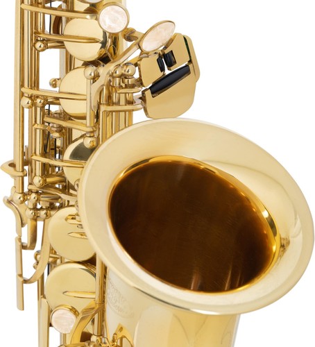Schönes Altsaxophon klar lackiert, voller warmer Klang, ideal für Einsteiger - Bild 6 von 10