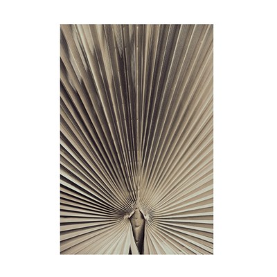 Pictufy Studio III 'Palmblad 1' Canvas Art - 22 x 32 Inches