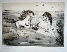 CAMARGUE Gravure EAU FORTE Th Adam CHEVAUX Cheval XX°