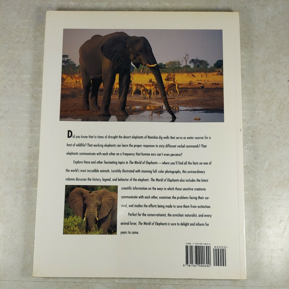 World of Elephants by Lisa Lawley 1994 Illustrated Paperback | eBay