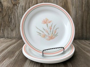 Vintage Set of 4 peach rimmed salad plates