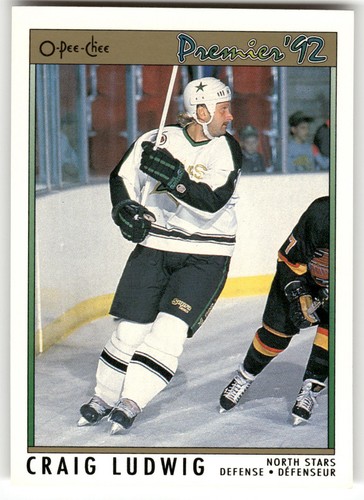 1991 Craig Ludwig #80
