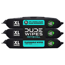 DUDE Wipes - Flushable Wipes 3 Pack 144 Wipes, Mint Chill, Extra-Large Wet Wipes