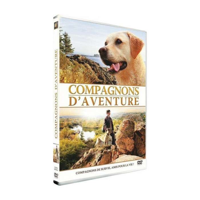 Compagni Avventura DVD Nuova