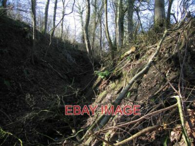 PHOTO  STREAM BANK IN COLLEGE COPPICE  2012