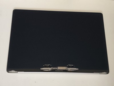 Apple MacBook Pro 16'' 2019 A2141 Display Screen Assembly LCD Original Space Grau