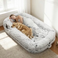 Human Size Dog Bed, Memory Foam, Machine Washable Cover, Grey 76''X46''X10''