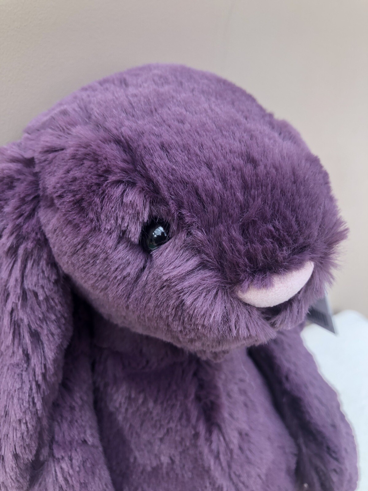 bashful plum bunny