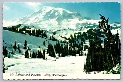Washington WA~Mt. Rainier~Paradise Valley~UNUSED Cascade Range Vintage Postcard