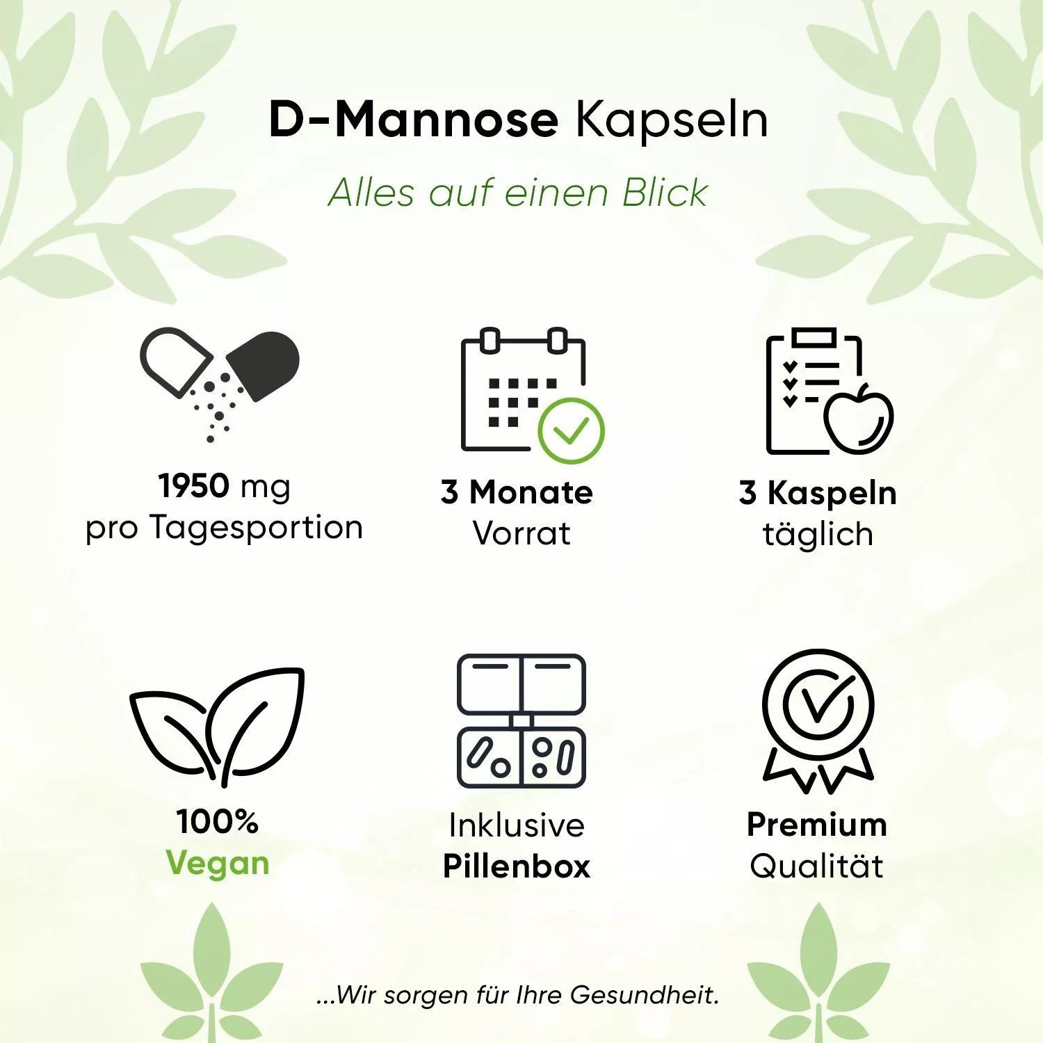 Bild 2 von 5