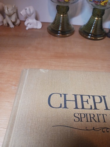 Chepi Sepe Spirit River Vintage Hardcover Book 1989 1st Ed Plus Map - Imagen 5 de 14