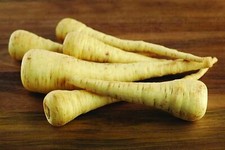 Parsnip Seeds, Hollow Crown Parsnip Seeds,