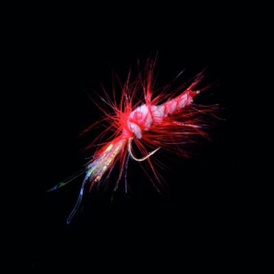 Jenzi Dega Shrimp Fly Bycatcher Red Silver Cod Fly Sea Fishing Lure
