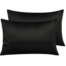 Silky Satin Pillowcase For Skin and Hair Zipper Pillow Case 2 Pack NTBAY Bedding