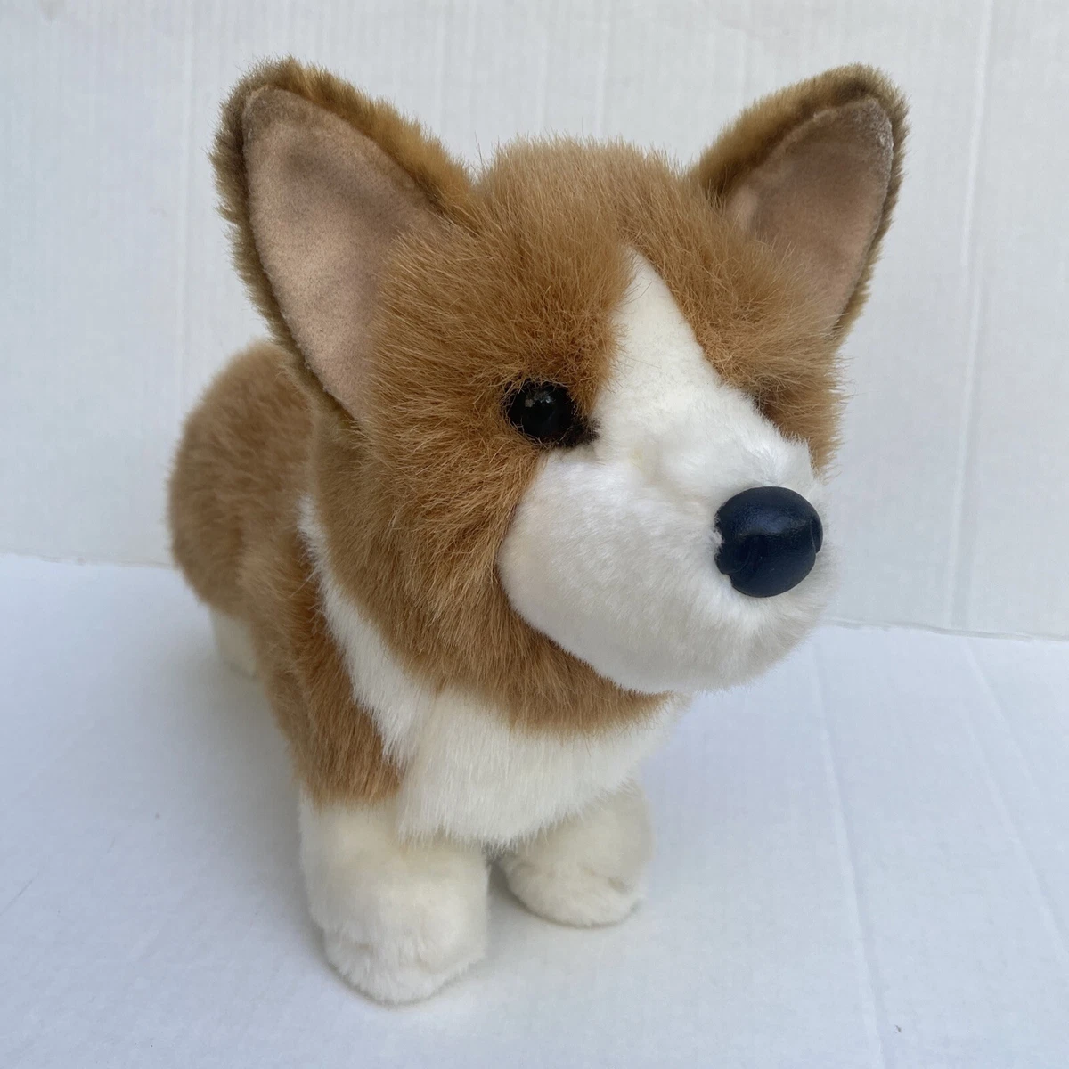 Chadwick corgi hotsell