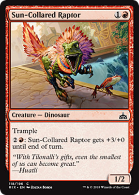 SUN-COLLARED RAPTOR ~mtg NM Rivals of Ixalan Com x4