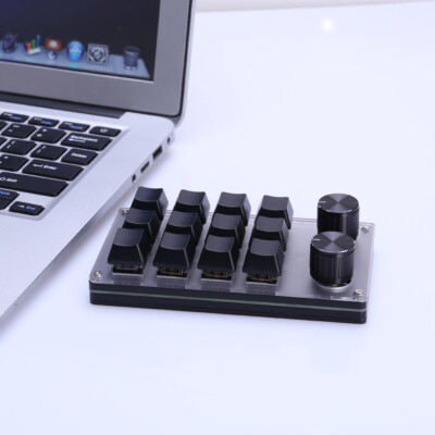 12 Key 2 Knob Programming Macro Custom Knob Keyboard Hotswap for Office Gaming