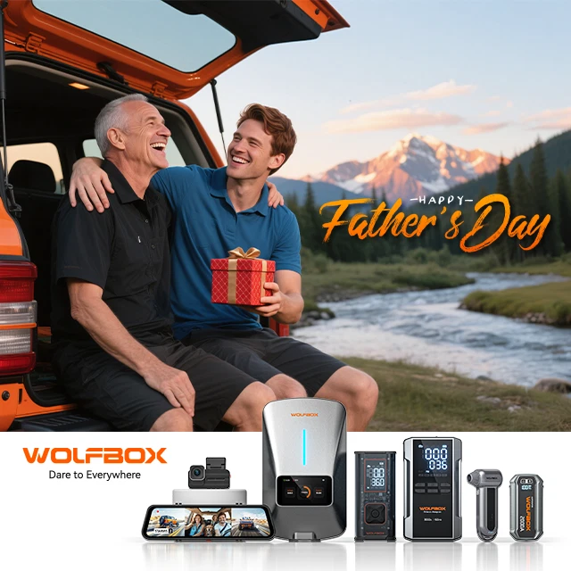 Wolfbox Ev Stazione di Ricarica Tipo 2 7kw 32a 1 Fase Veicolo Elettrico Caricabatterie Wallbox - Immagine 2 di 4