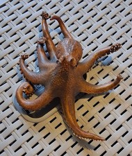 PAPO OCTOPUS FIGURE : APPROX