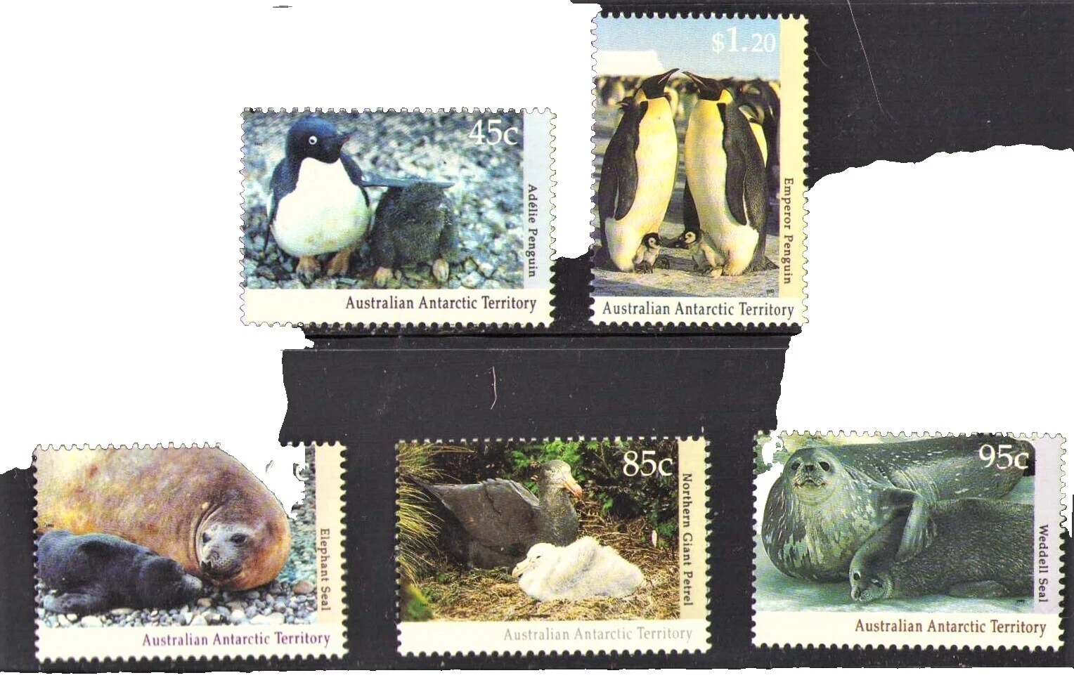 En excelente estado nunca abisagrado/estampillada sin montar o nunca montada pingüinos estampillas de Estados y Territorios australianos