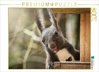 Calvendo Puzzle A Friendly Squirrel | 1000 Pieces, Finished Size 25.2 × 18.9 In