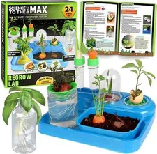 Regrow Science Kit for Kids 8+ - Replant Simple Ingredients to Generate New Plan