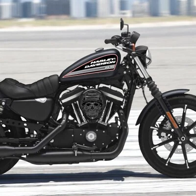 C.R.P kit 2 Adesivi Harley-Davidson Vintage Sticker Custom laminati 883 Moto sportster