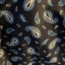 Lands End Blue Paisley Print Swim Board Shorts Shorts Liner 11" Size 10