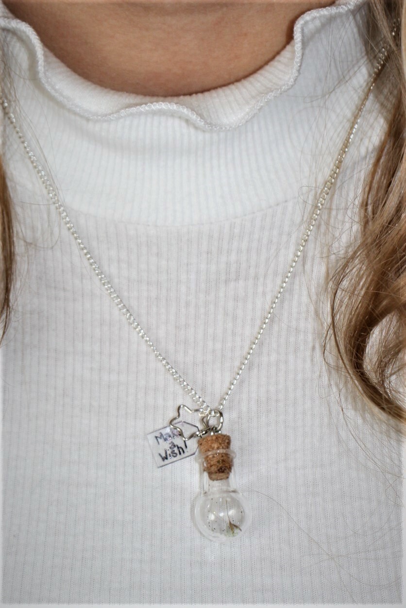 Silver Plated Make a Wish Necklace Chain Jewelry-image