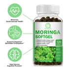 Organic Moringa Leaf Oil Capsule 1000MG for Immune,Weight Management 120 Capsule