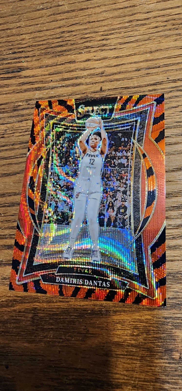 2025 Select Damiris Dantas Tiger Prizm