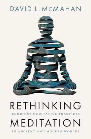 Rethinking Meditation: Buddhist - Hardcover, by McMahan David L. - Very Good