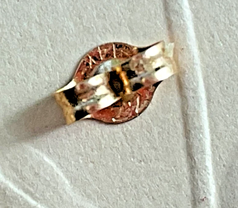 10K Gold Ruby & Diamond Hoop Earrings - Image 4 of 4