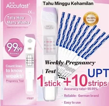 ACCUFAST 1 Pregnancy Weeks  Test Kit Pen + 10Pcs Early Pregnancy Strips Test