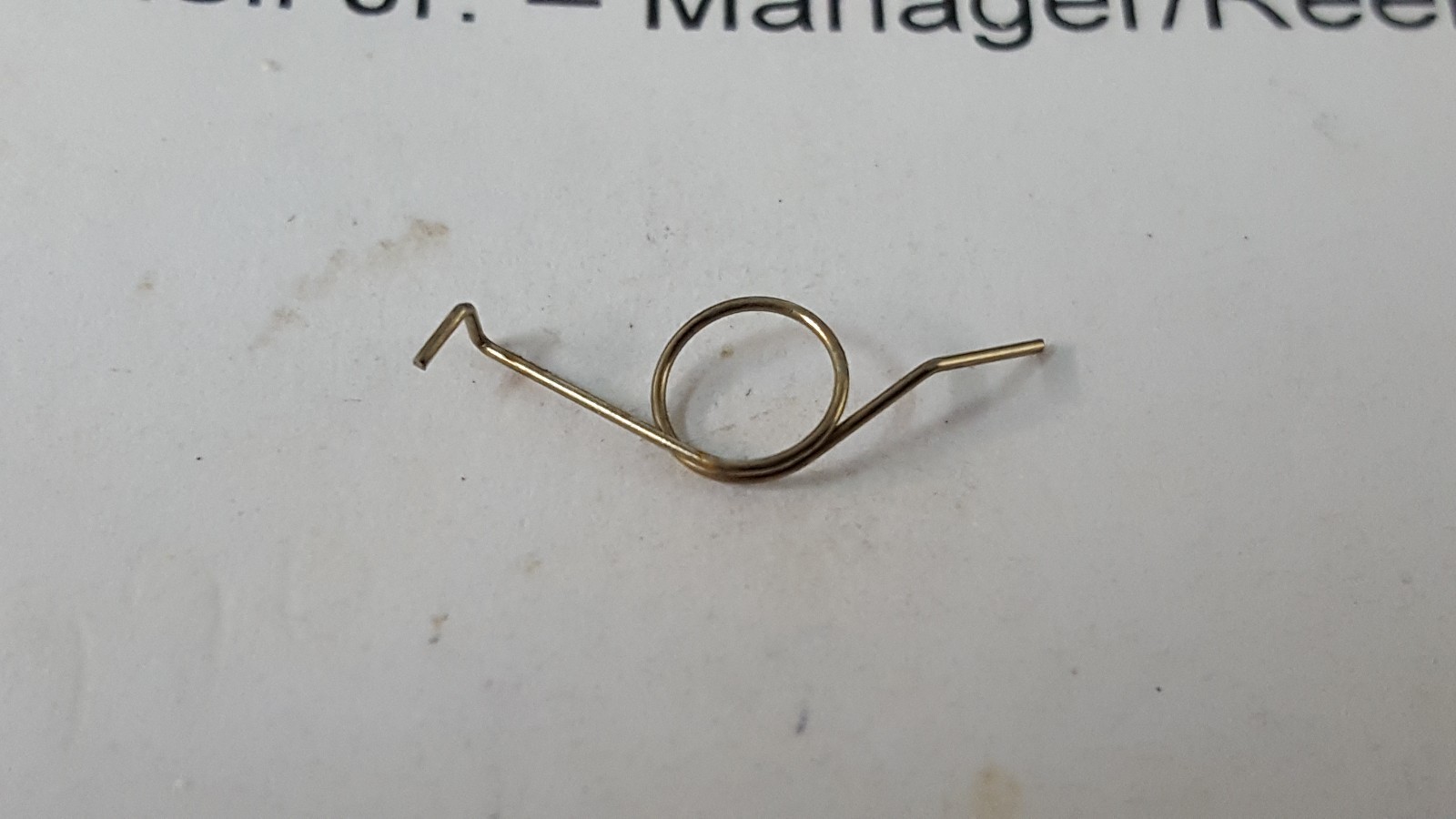 1 Daiwa Part # E54-2601 Anti-Reverse Pawl Spring Fits Laguna + Kastor ...