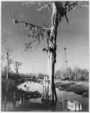 8" x 10" 1944 Choctaw Oil Field,Louisiana,LA