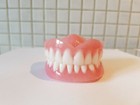 Brand New Denture/False Teeth,Upper&Lower set,Novelty,Display,Props,Teaching aid