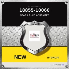 Genuine 2012-2018 Hyundai Accent Spark Plug Assembly 18855-10060
