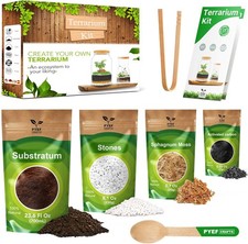 DIY Glass Terrarium Ecosystem Kit