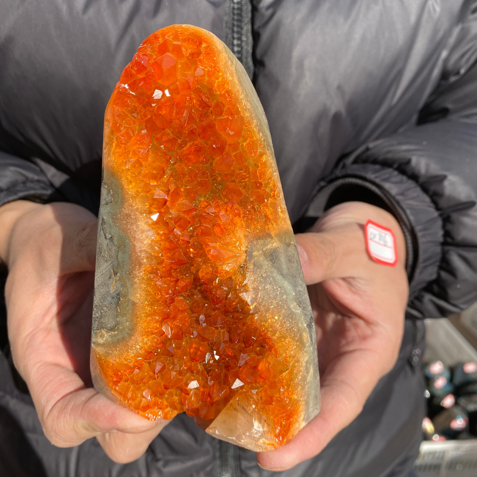 1.6LB Natural Citrine Geode Quartz Cluster Crystal Healing Specimen Cathedrals