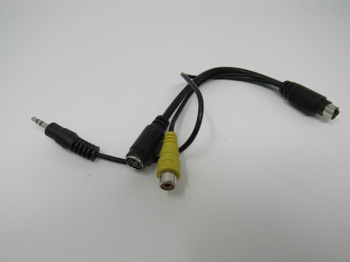 Standard PS2 to S Video RCA and 3.5-mm 