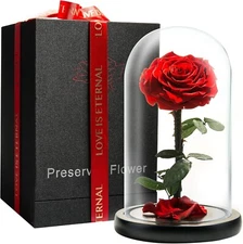 Forever Preserved Rose Eternal Rose in Glass Dome - Beauty and The Beast Rose ,,