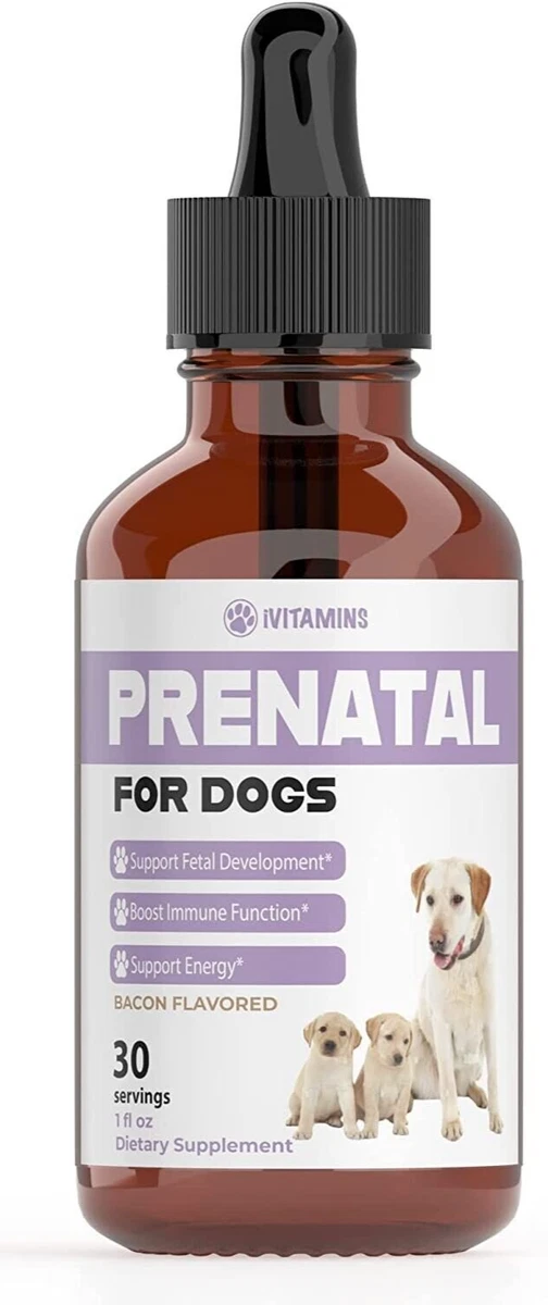 Can You Give Dogs Vitamin B