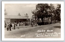 Postcard  RPPC Dining Room Knott's Berry Farm Buena Park Calif
