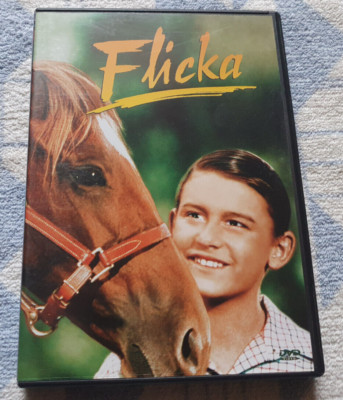 Flicka  DVD  Alison Lohman