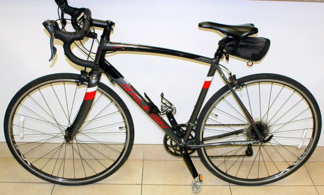 raleigh merit 1 road bike
