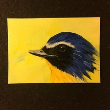 ACEO Original Acrylic Bird Painting Chinese Blue Flycatcher Backyard Birds